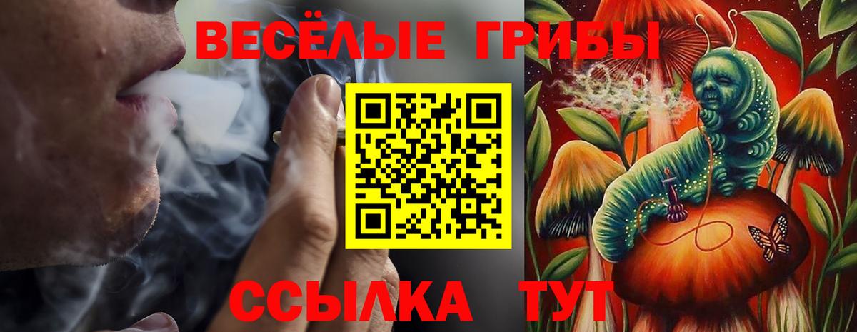 Галлюциногенные грибы Psilocybine cubensis Дзержинск