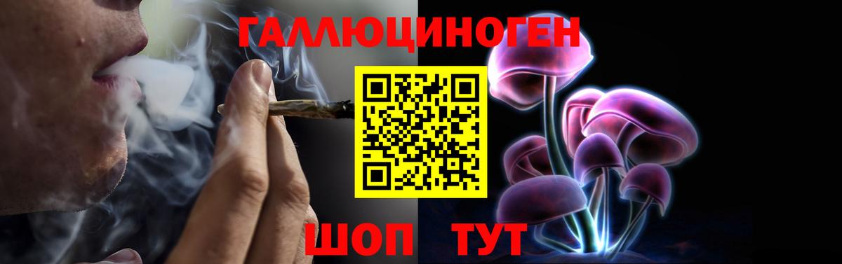 Псилоцибиновые грибы прущие грибы  Вход с VPN  Дзержинск 